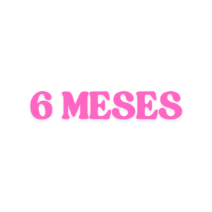 6 MESES