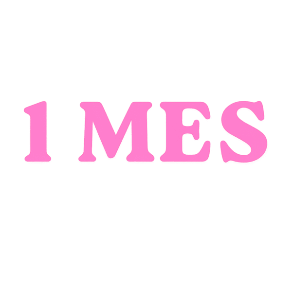 1 MES